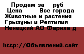 Продам за 50 руб. › Цена ­ 50 - Все города Животные и растения » Грызуны и Рептилии   . Ненецкий АО,Фариха д.